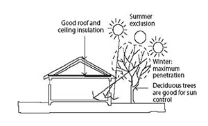 Living in your Home with an Environmental Awareness
